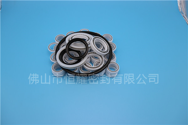 HOB、HVB孔用泛塞封 (6)