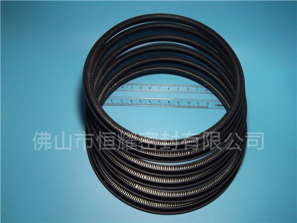 HOD、HVD旋轉(zhuǎn)泛塞封 (12)