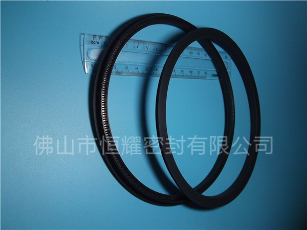HOD、HVD旋轉(zhuǎn)泛塞封 (15)