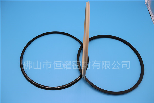 HOD、HVD旋轉(zhuǎn)泛塞封 (18)