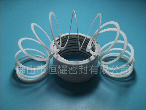 HVF、HVG端面內(nèi)、外向泛塞封 (7)