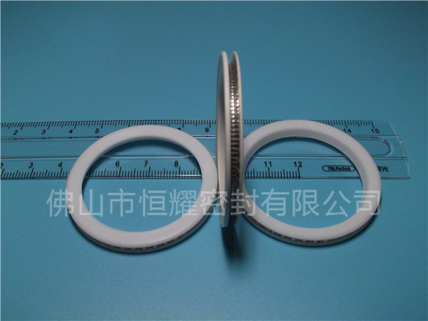 HVF、HVG端面內(nèi)、外向泛塞封 (10)