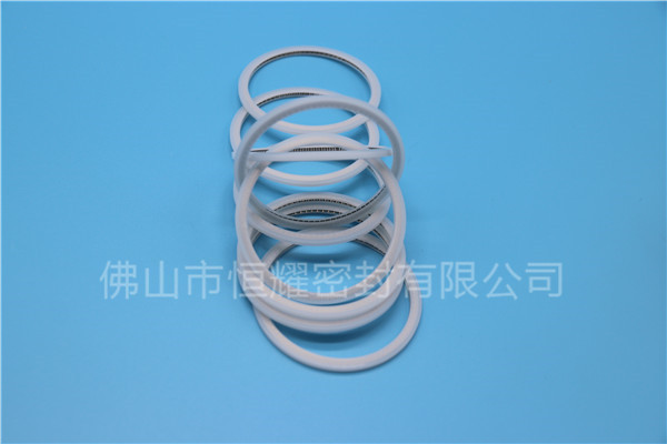 HVF、HVG端面內(nèi)、外向泛塞封 (15)