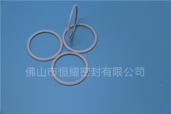 HVF、HVG端面內(nèi)、外向泛塞封 (20)