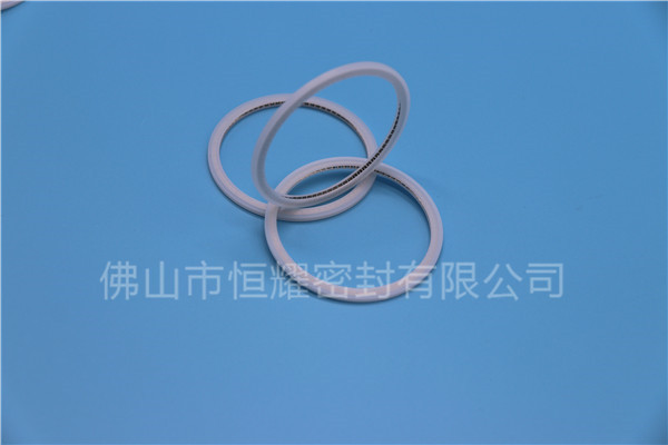 HVF、HVG端面內(nèi)、外向泛塞封 (21)