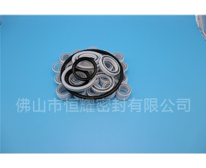 HOB、HVB孔用泛塞封 (6)