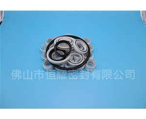 HOB、HVB孔用泛塞封 (7)