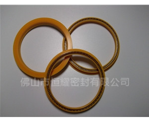 HOD、HVD旋轉泛塞封 (8)