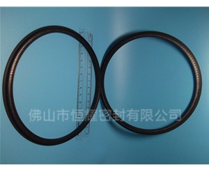 HOD、HVD旋轉泛塞封 (13)