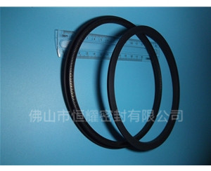 HOD、HVD旋轉(zhuǎn)泛塞封 (15)