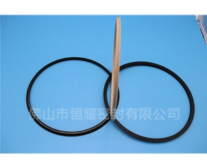 HOD、HVD旋轉(zhuǎn)泛塞封 (18)