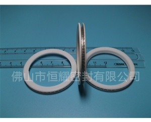 HVF、HVG端面內(nèi)、外向泛塞封 (10)