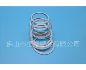 HVF、HVG端面內(nèi)、外向泛塞封 (15)