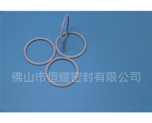 HVF、HVG端面內(nèi)、外向泛塞封 (20)