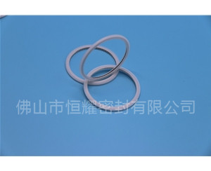 HVF、HVG端面內(nèi)、外向泛塞封 (21)